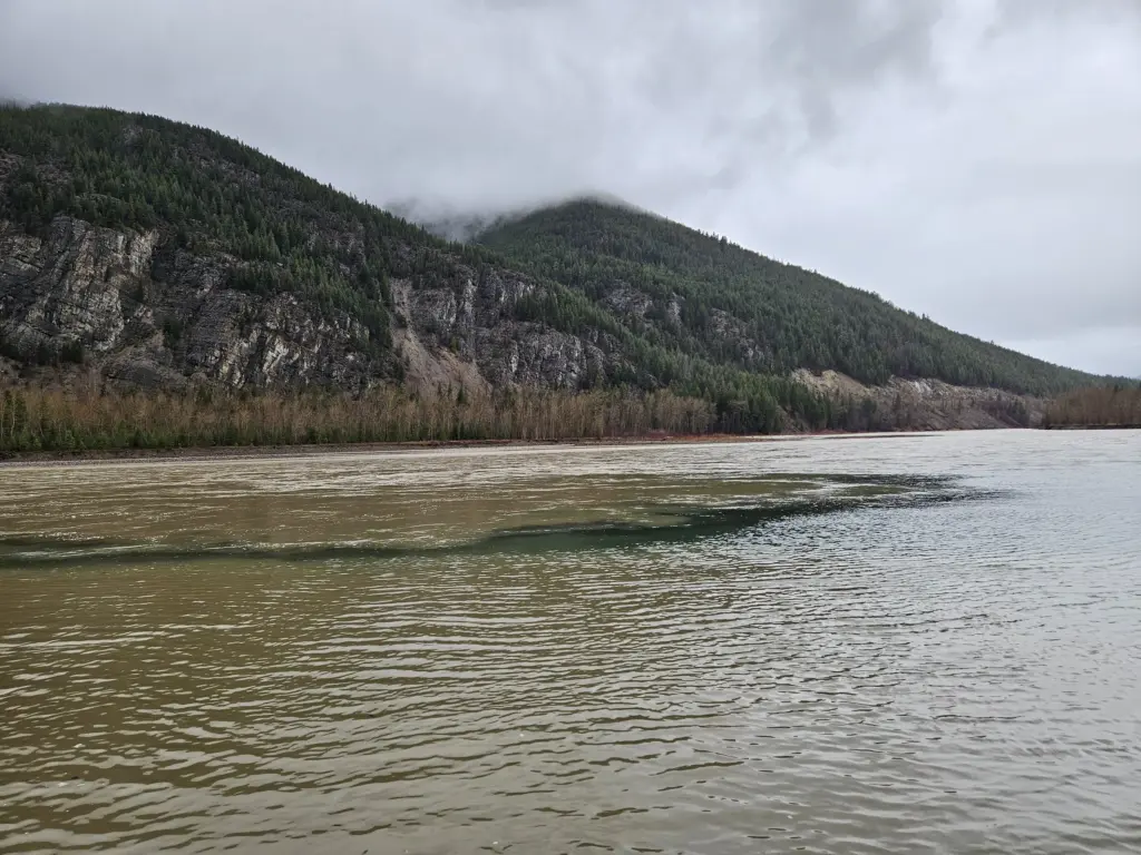 Thursday, Dec. 11th, 2025 10:36 MST Confluence Middle and South Forks of Flathead River looking upstream from HWY 2 near Hungry Horse, MT Photo