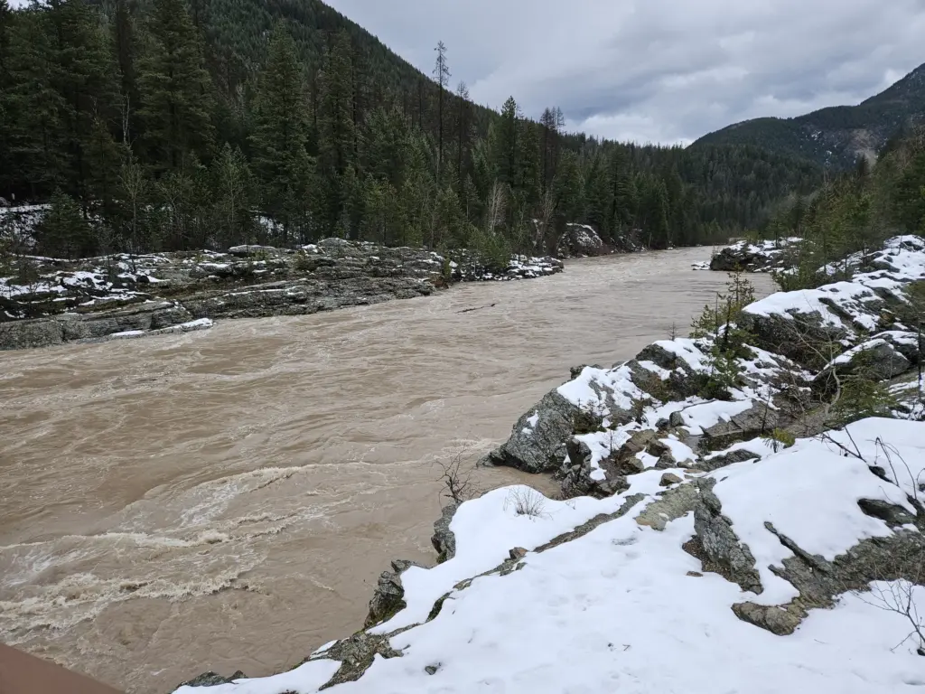 Thursday, Dec. 11th, 2025 15:38 MST Middle Fork of the Flathead Wild & Scenic River looking upstream of Belton Bridge, near West Glacier, MT Photo