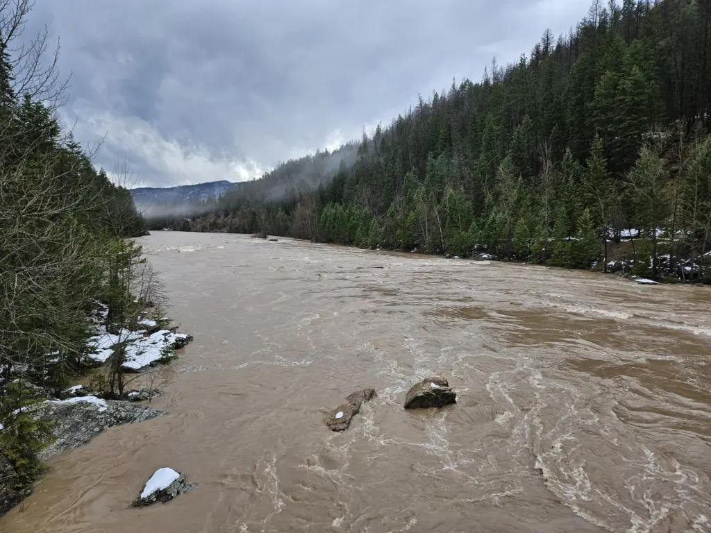Thursday, Dec. 11th, 2025 15:38 MST Middle Fork of the Flathead Wild & Scenic River looking downstream below Belton Bridge, near West Glacier, MT