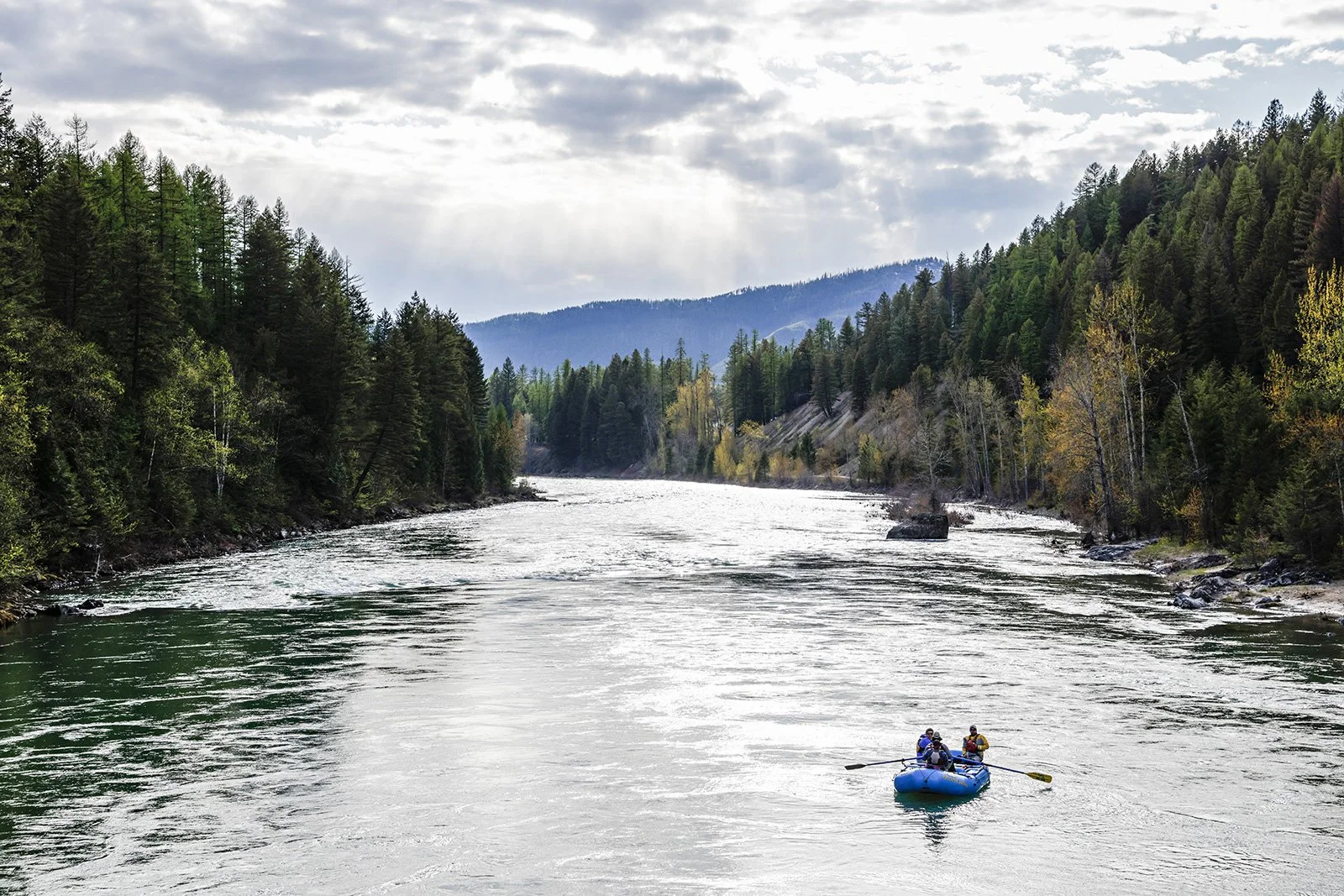 Flathead Rivers Alliance Seeks Volunteers for 2024 Science and Safety Programs