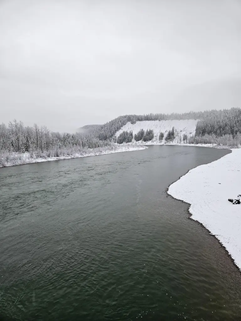 Wednesday, Dec. 10th, 2025 10:30 MST Confluence Middle and North Forks of Flathead Wild & Scenic River looking downstream from Blankenship Bridge