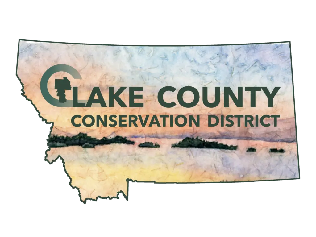 Lake CD Logo NEW