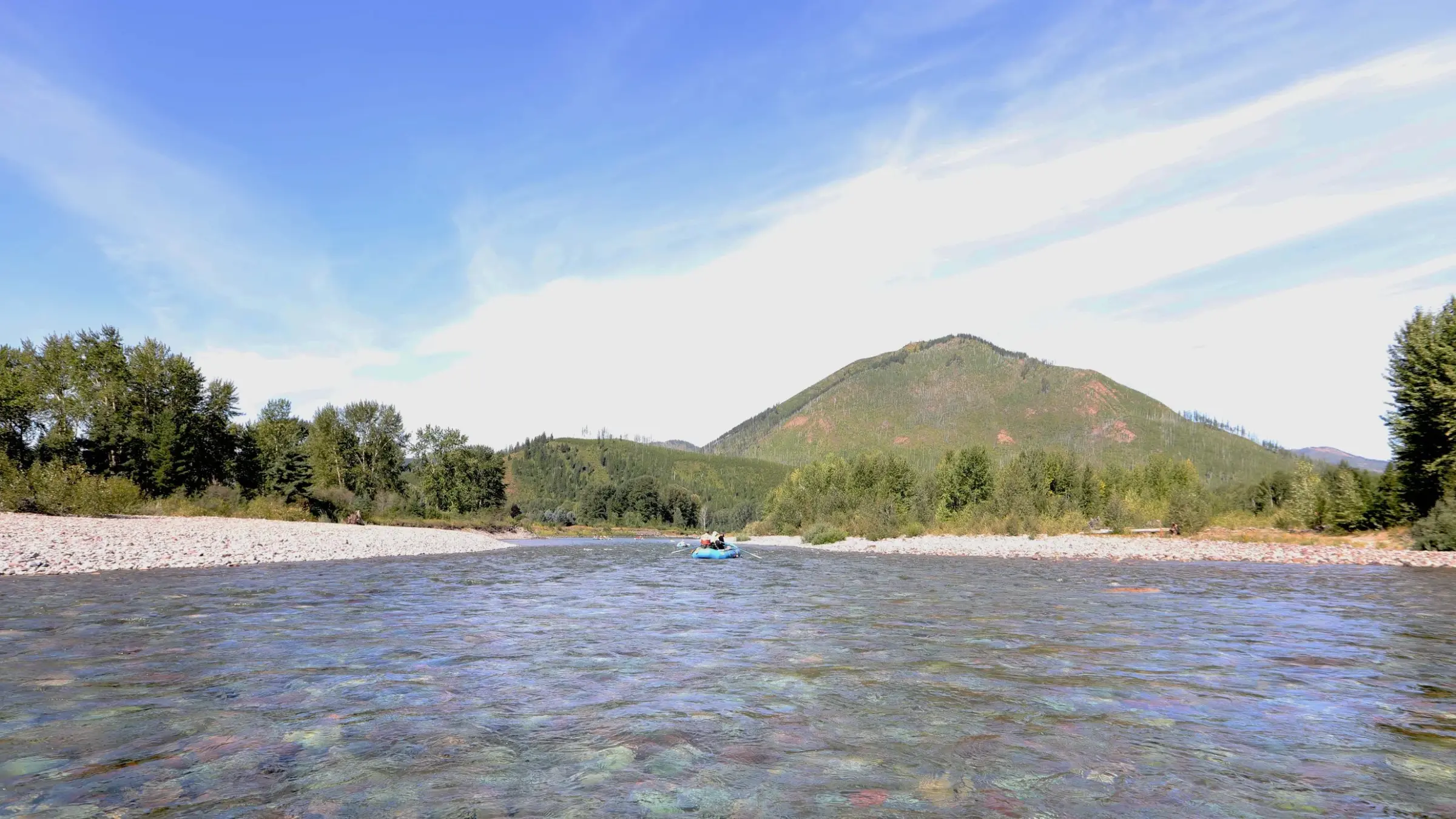 Flathead Rivers Alliance Joins West Glacier Weed Rodeo