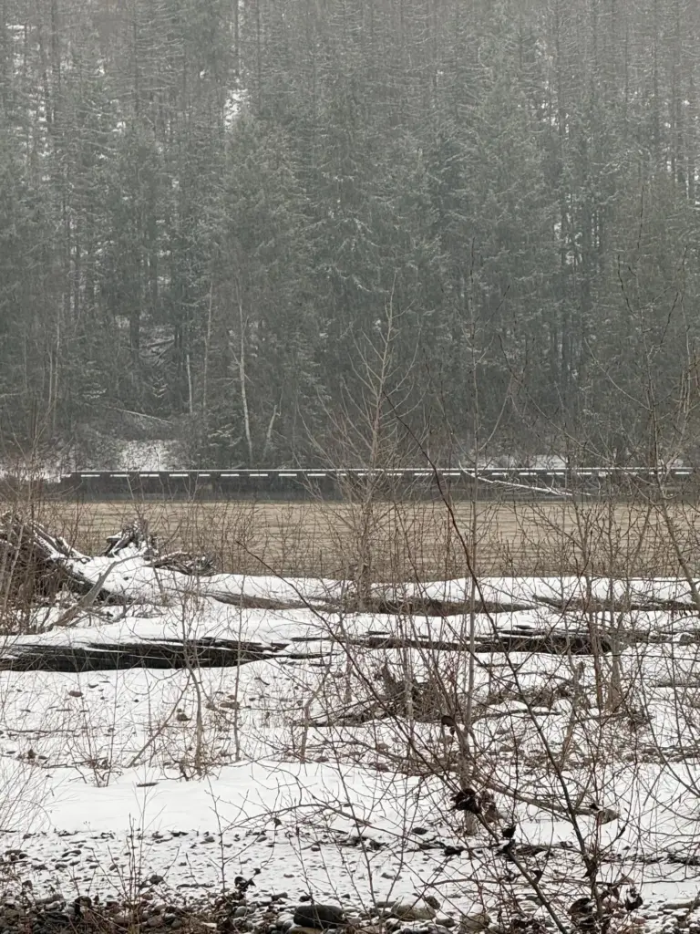 Fri., Dec. 12th, 2025 12:00 MST Middle Fork Flathead Wild & Scenic River looking towards Quarter Circle Bridge Glacier National Park near West